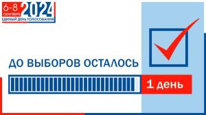 Что нужно знать избирателю, когда до начала голосования на выборах в советы муниципальных депутатов остался 1 день?