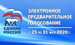 В Подмосковье стартовало Предварительное голосование