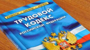 «Единая Россия» готовится внести в Госдуму поправки в Трудовой кодекс