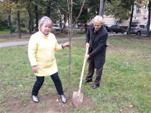 Партийцы и сторонники сажают деревья