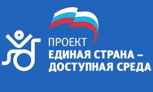 В «Единой России» выступают за упрощение пользования бесплатной парковой для людей с ОВЗ в любом регионе